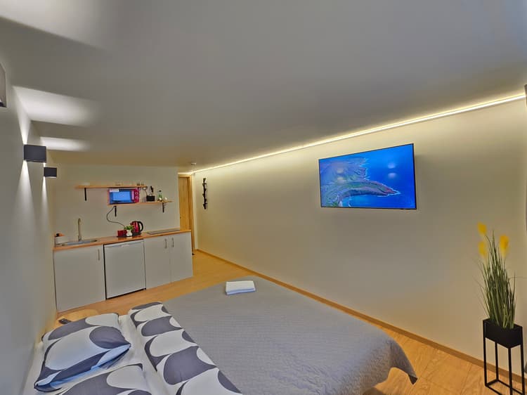 T6 Studio apartment