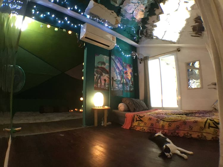 Dragon Cave (Cosy Room)