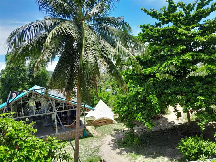Bird's Nest (Mini Room)