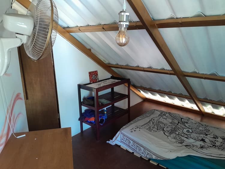 Bird's Nest (Mini Room)