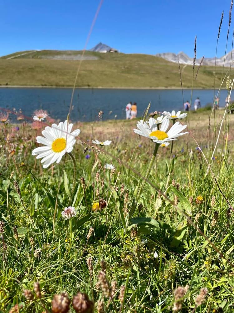 .SuperTignes Bertrand Noel