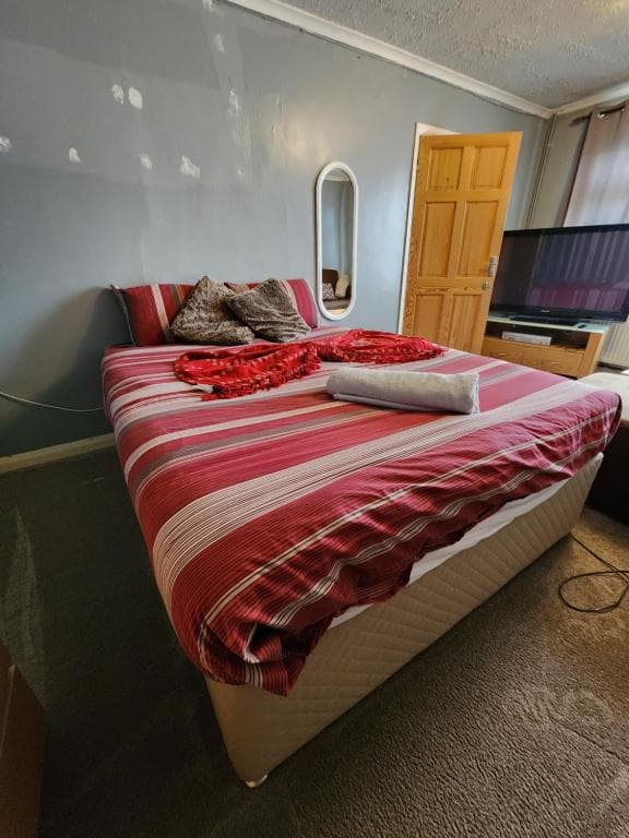 The Rushdon 1 - King