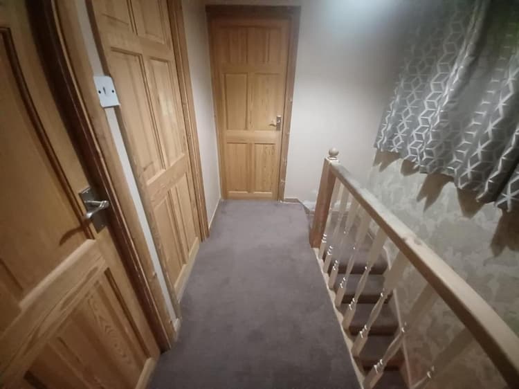 The Rushdon 3 - King