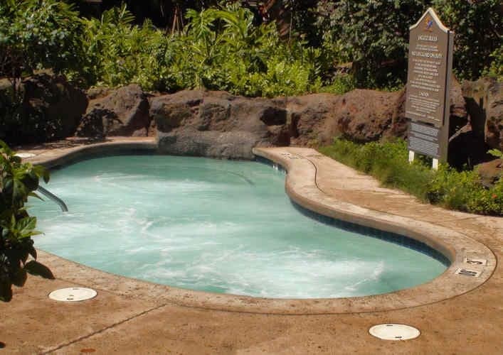 Westin Kaanapali Ocean Resort Villas Ocean View Studio SO1