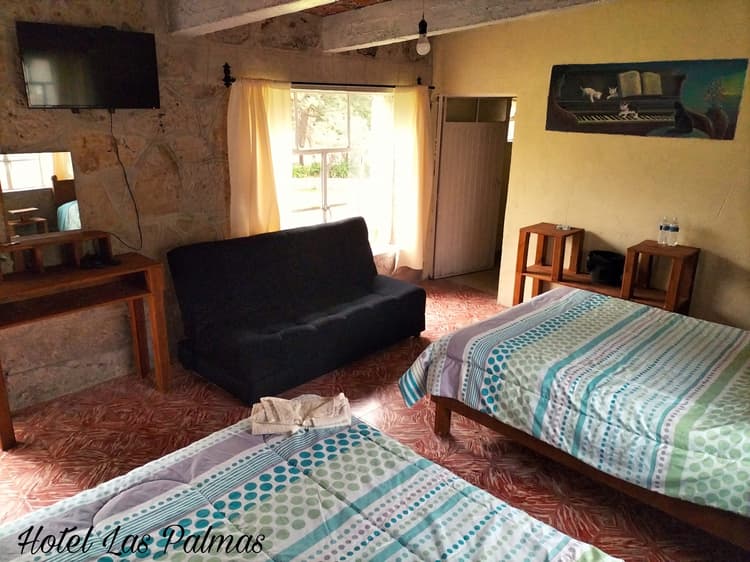 Gatos - Las Palmas By GEstores