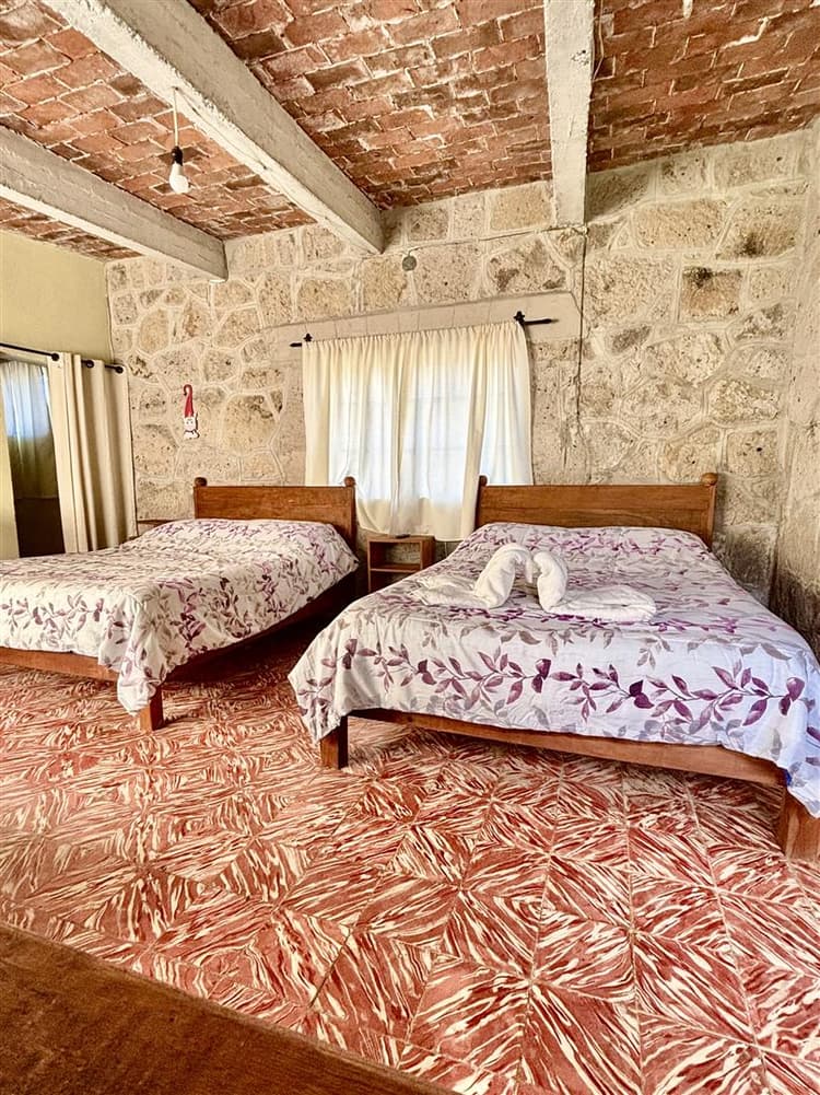 Gatos - Las Palmas By GEstores