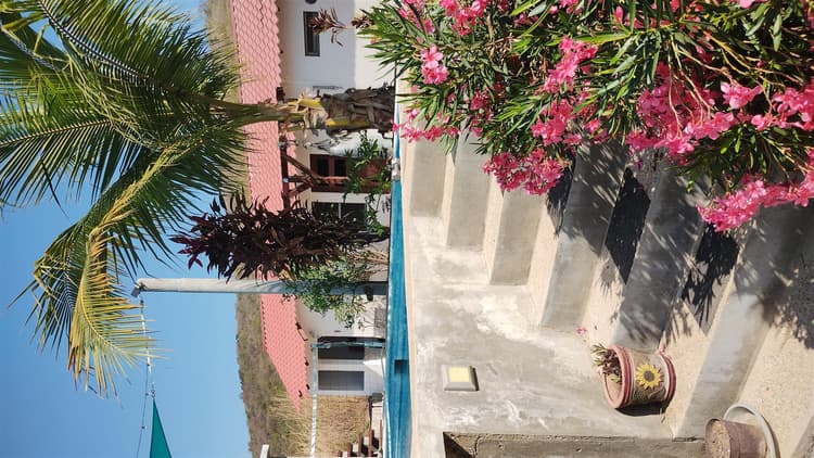 Salt Life Cabana #3