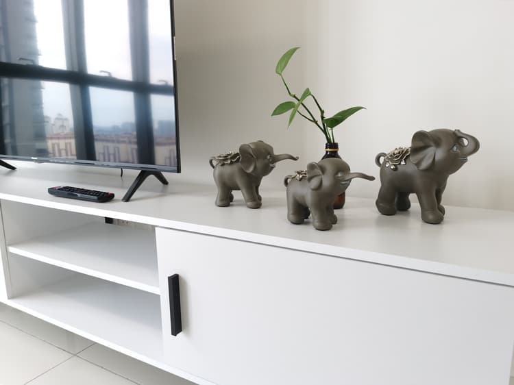 IC Choppins	T2-22-03