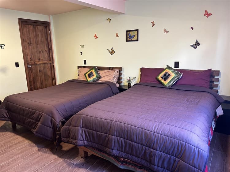 Catarinas - Siempreviva By GEstores