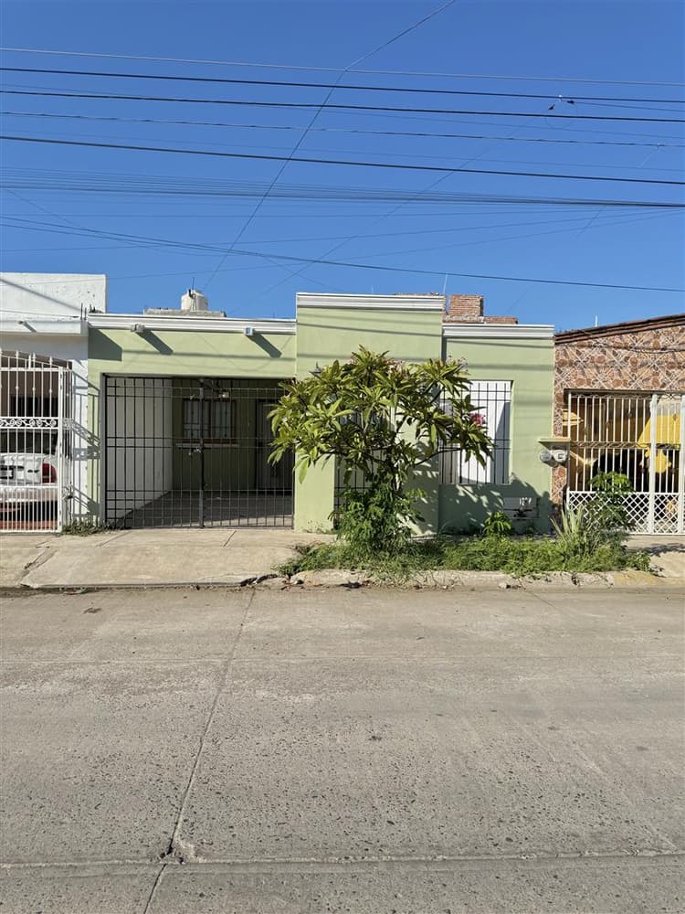 Urban Base By GEstores