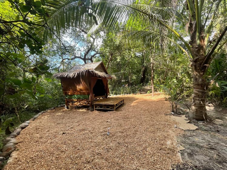 Jungle Hut