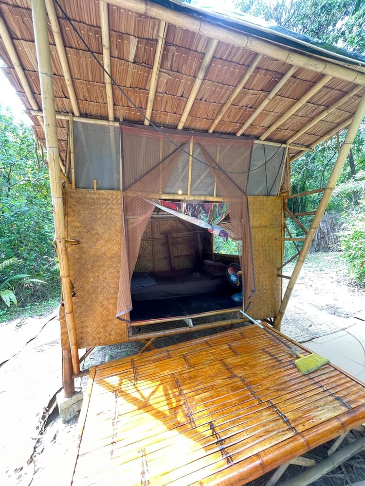 Jungle Hut