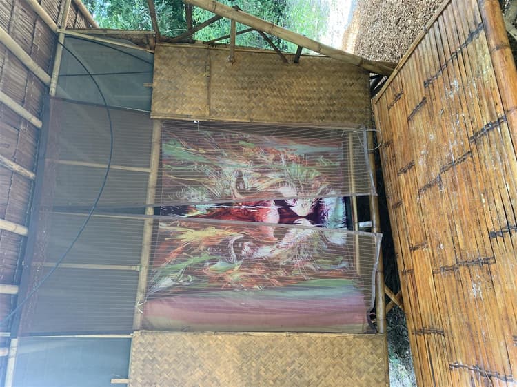 Jungle Hut
