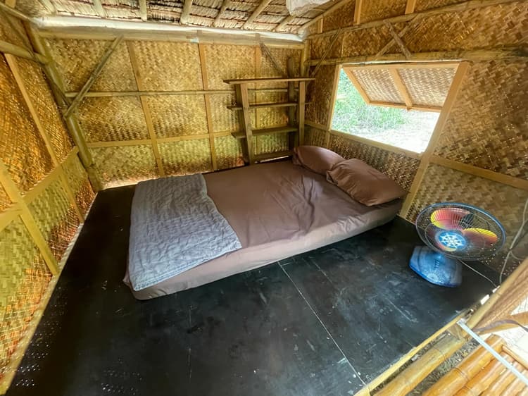 Jungle Hut