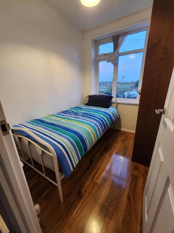 The Walnut 5 - Single