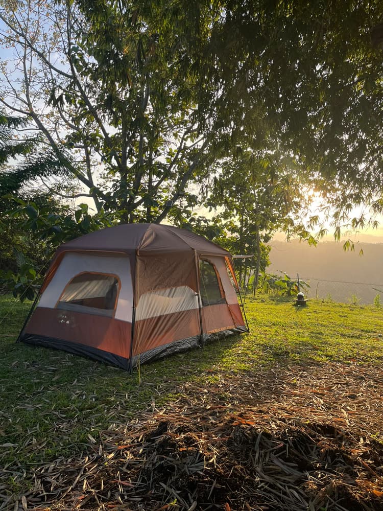 6 Person Tent (Large)