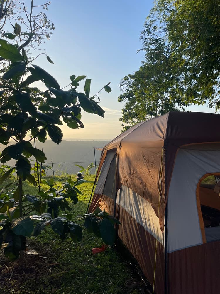 6 Person Tent (Large)