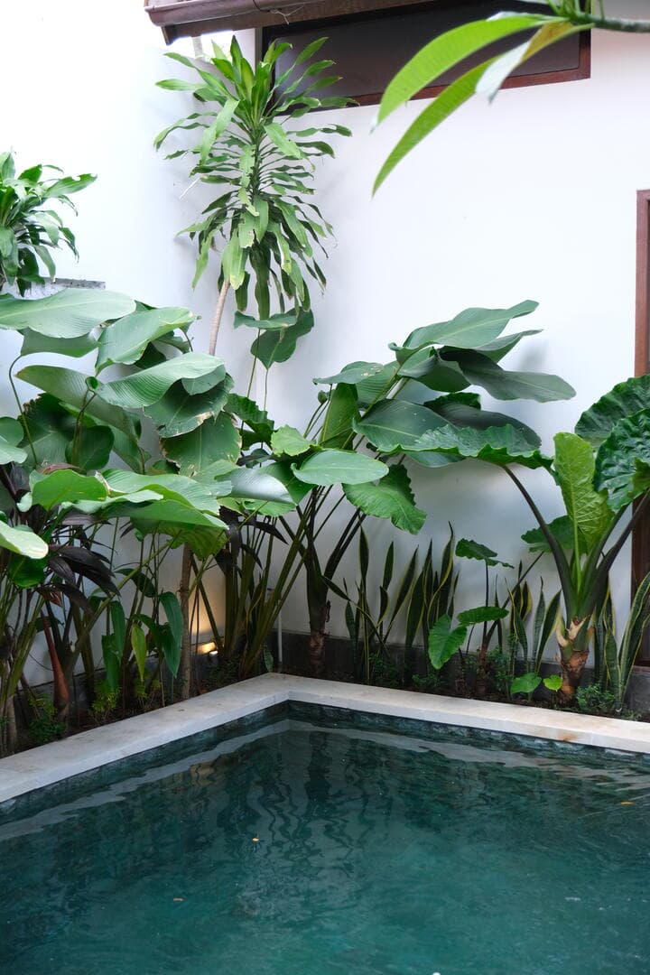 #3 Private 2BR Villa with Pool, Garden & Modern Comforts in Bali Umalas Canggu