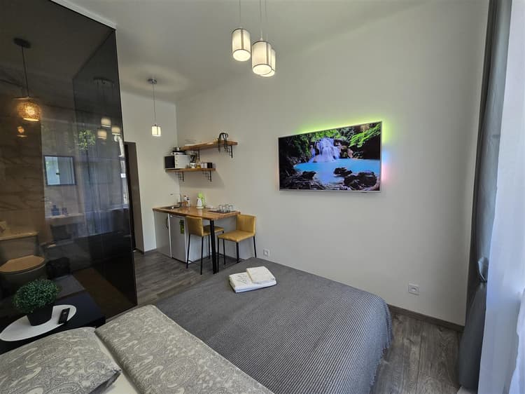 S3 Studio with balcony Klaipeda