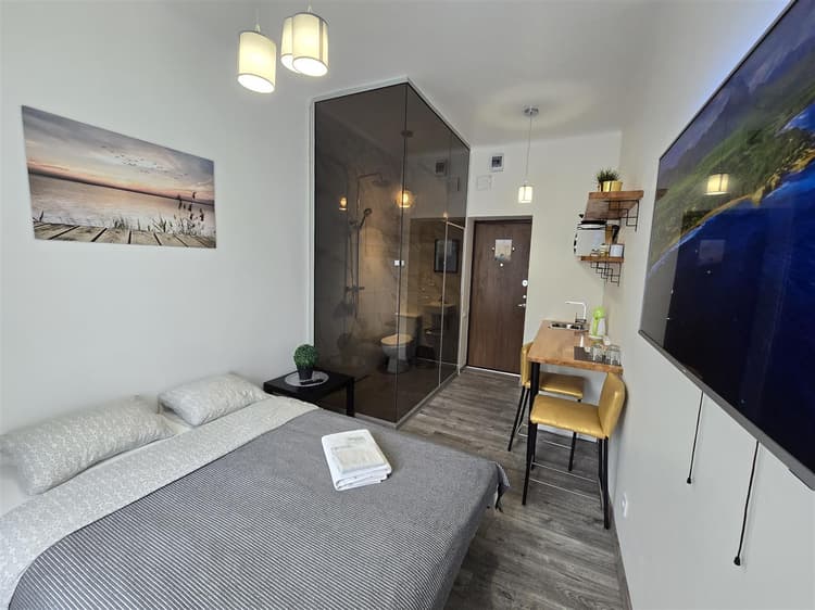 S3 Studio with balcony Klaipeda