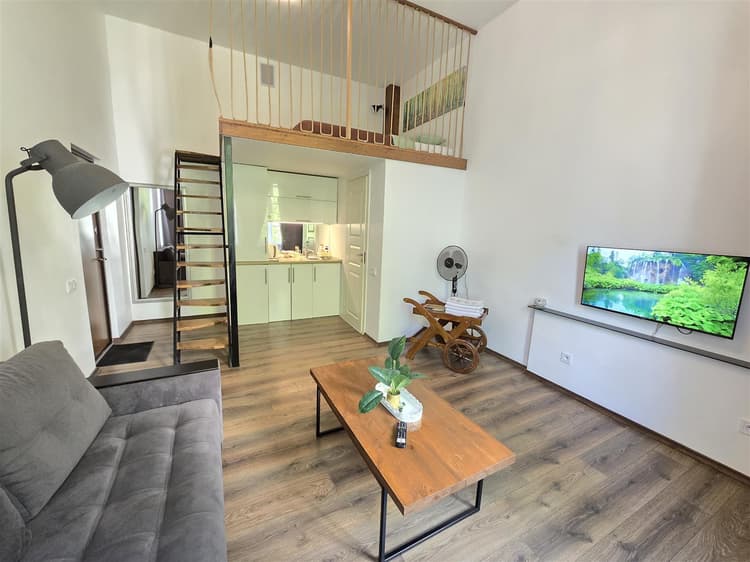 Z6 Loft Apartment Klaipeda