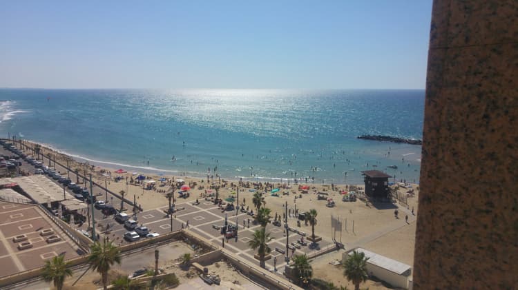 835 Almog  Residence Studio