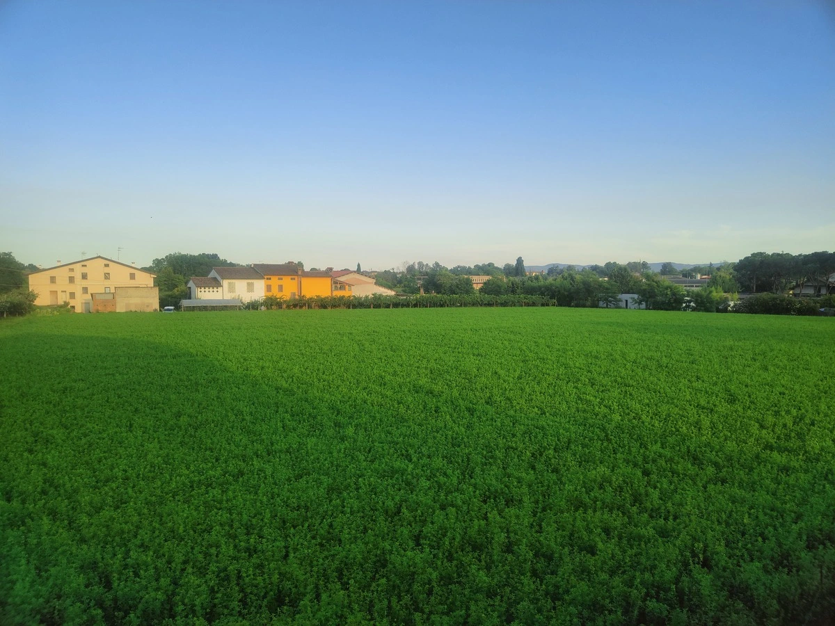 Lavanda House, Vicenza