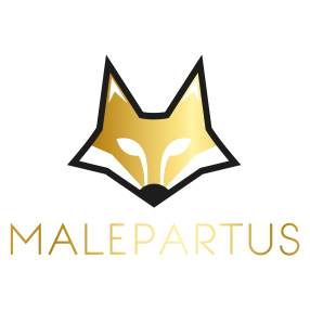 HOTEL MALEPARTUS am Kurpark