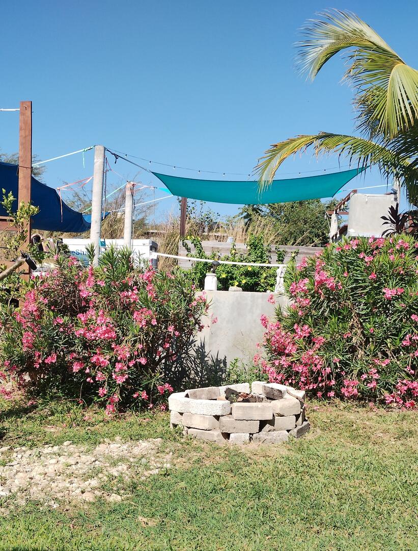 Salt Life Cabana #2