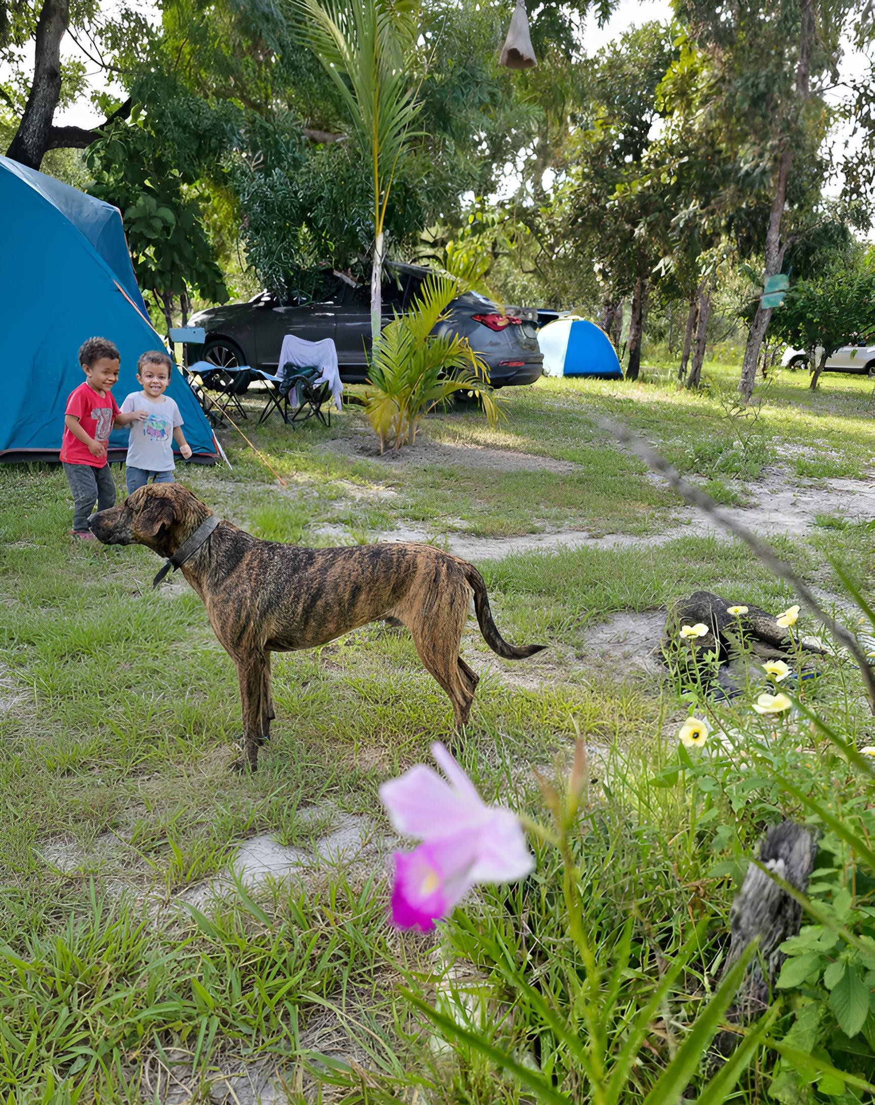 Espaço para camping