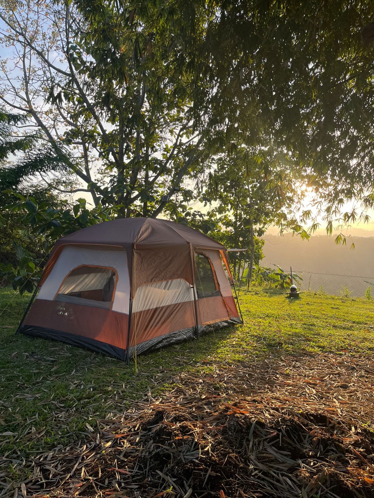 6 Person Tent (Large)