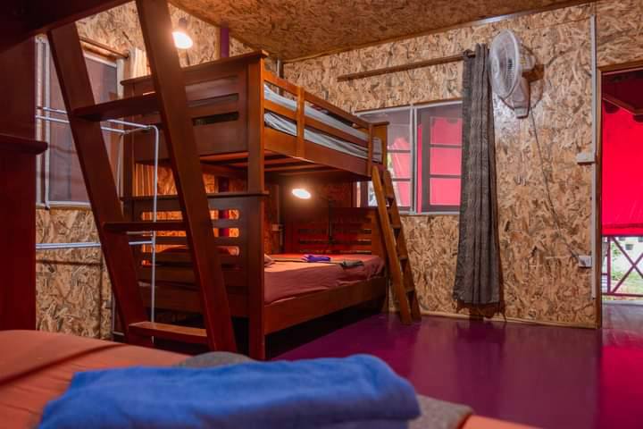 4-Bed Mixed Dorm Rooms