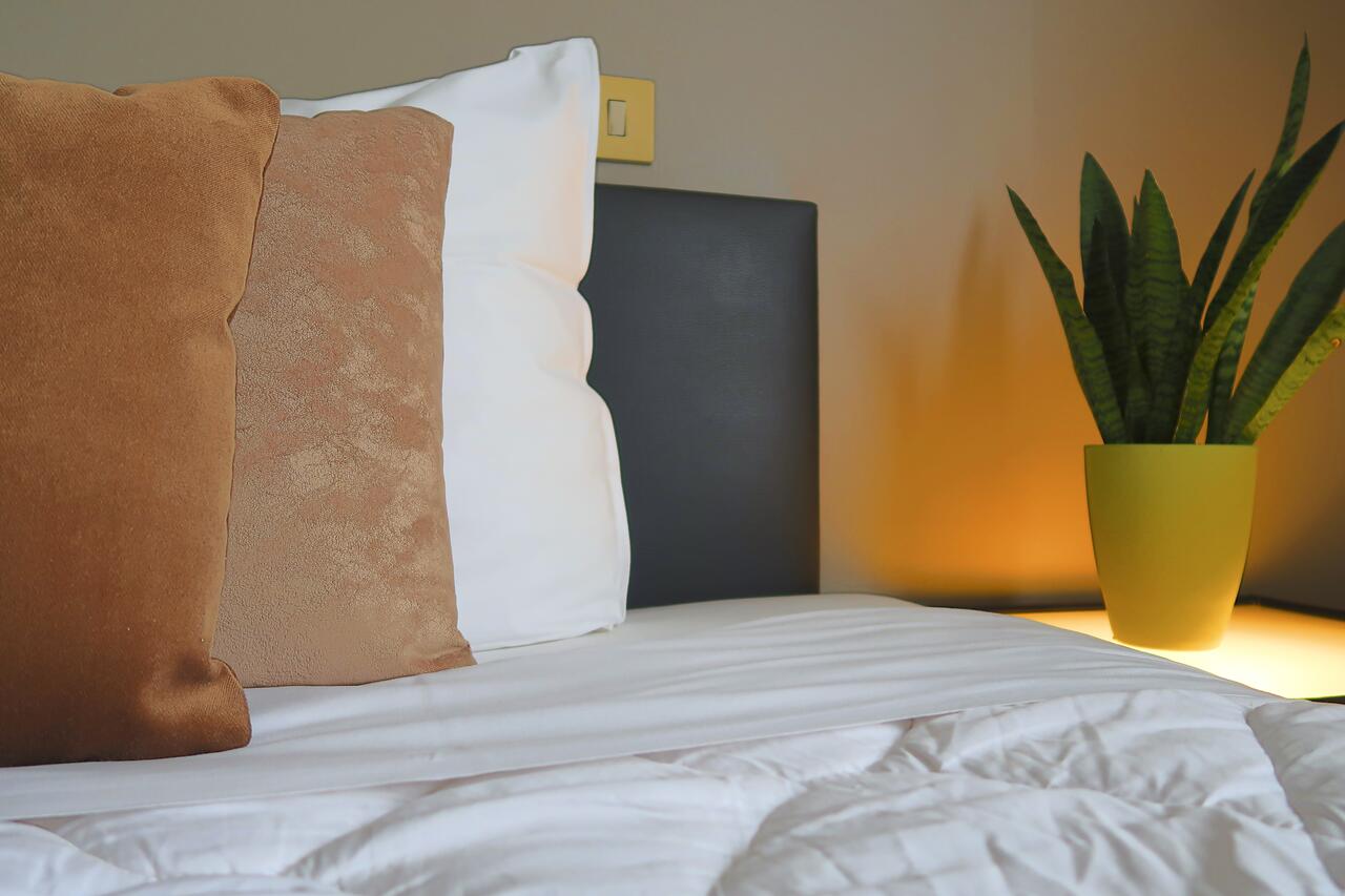 Triple Comfort Room