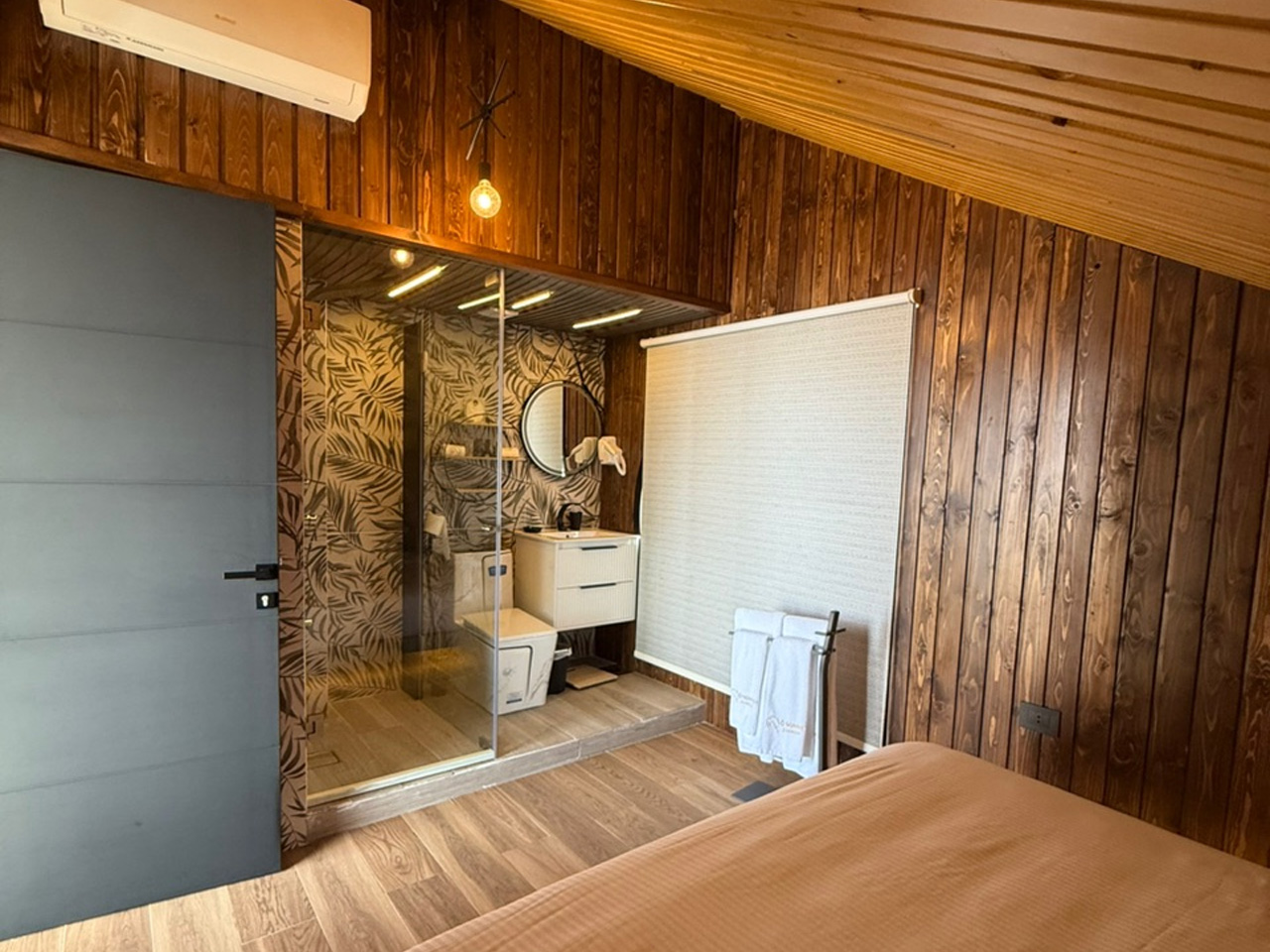 Chambéry (3)