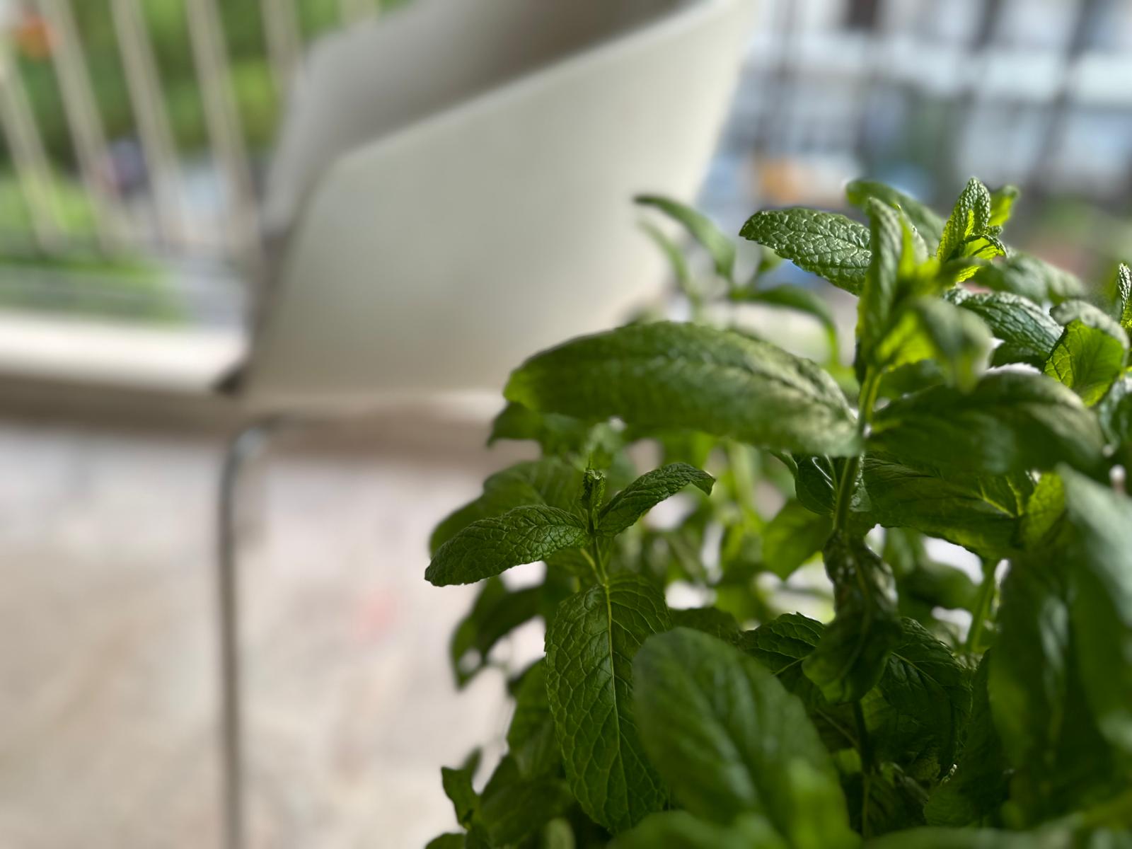 Feel Greece - Athens Studio - Studio Apartment – 1 Bedroom